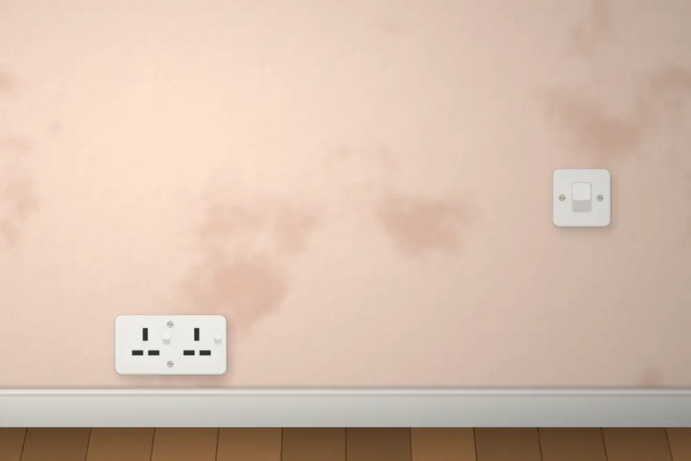 After: the same wall freshly skimmed, smooth and even, with the socket and switch neatly refitted.